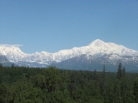 Morning view of Denali